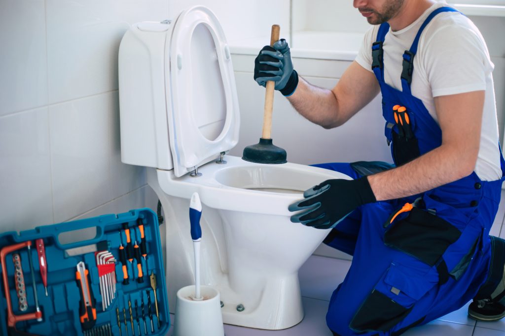 how-to-unblock-a-toilet-using-a-plunger