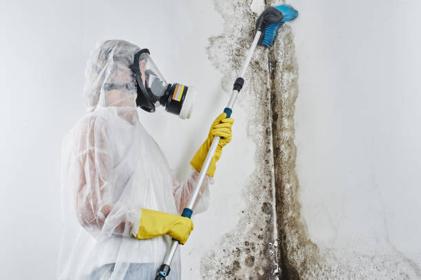 how to get rid of shower mould