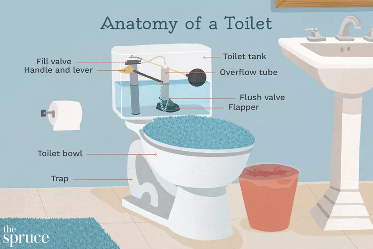 anatomy-of-a-toilet