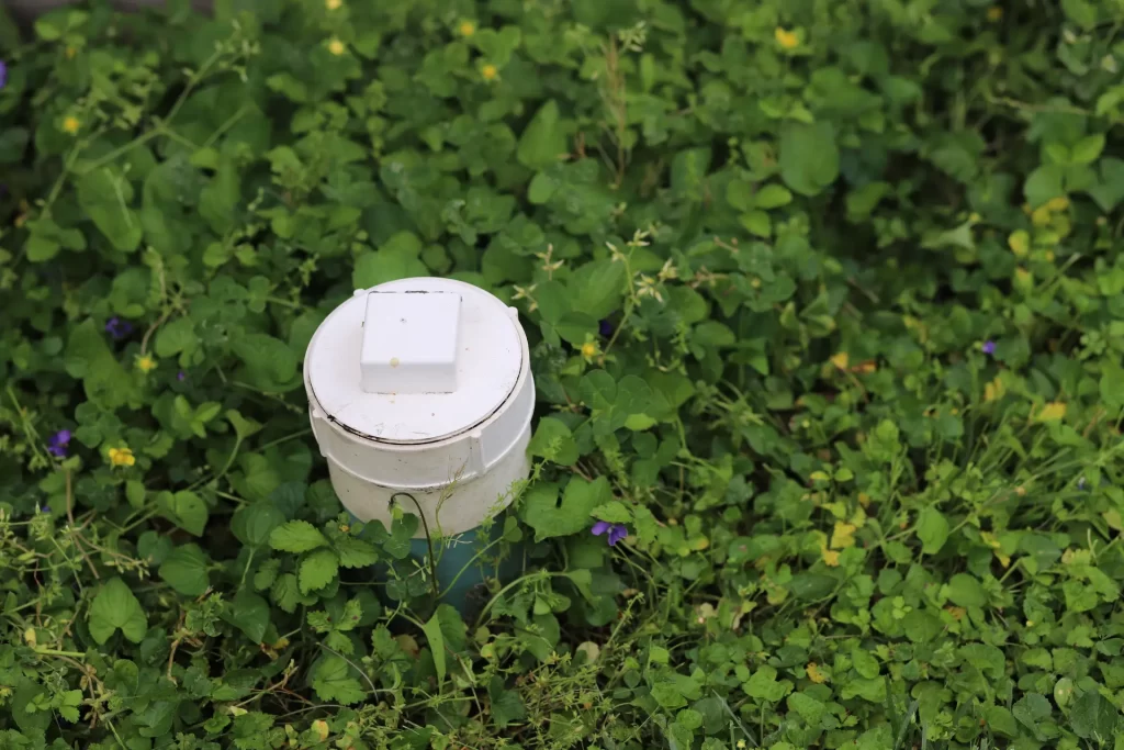 A cleanout installed in a green lawn