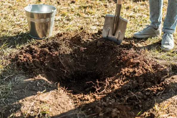 backyard sinkhole