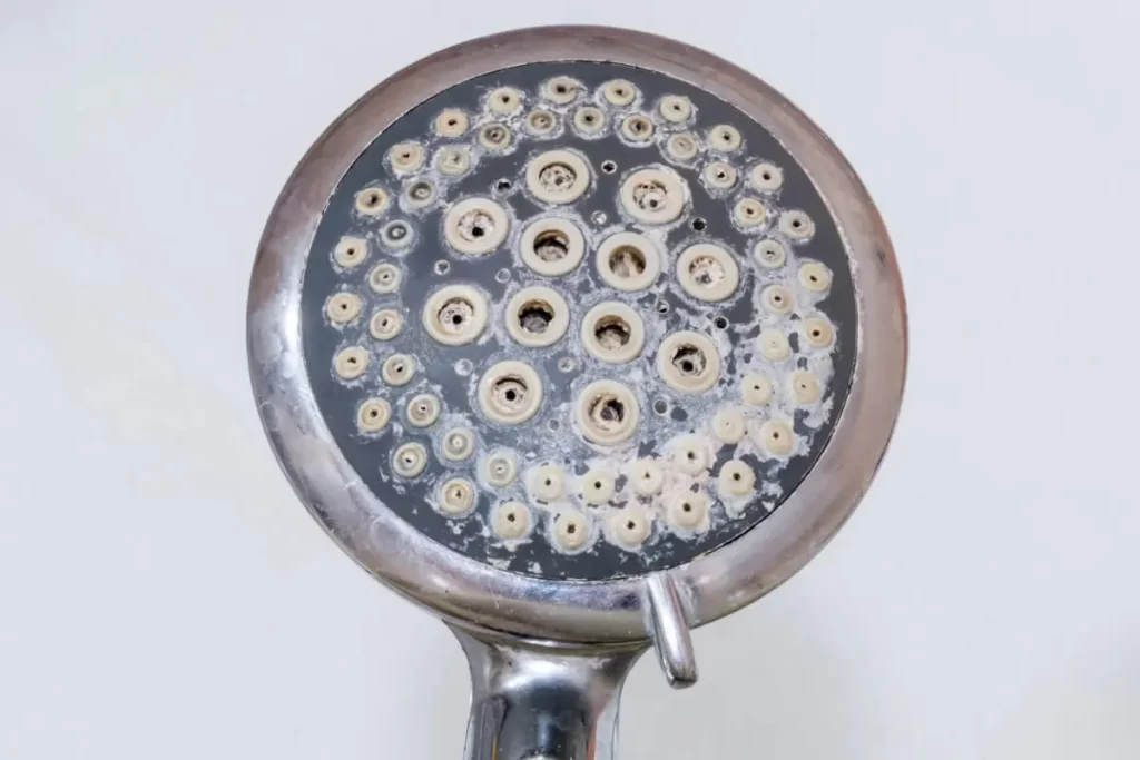 dirty shower head